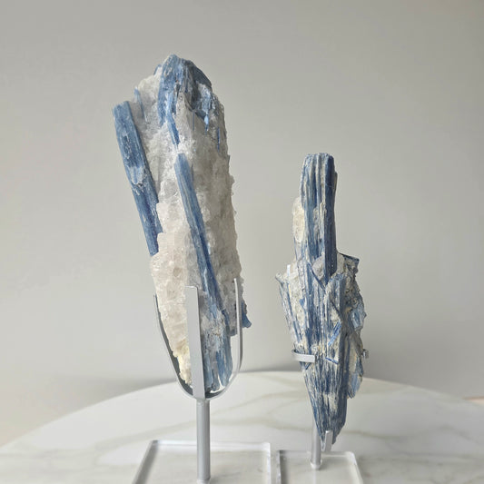Blue Kyanite Crystal in Quartz on Stand