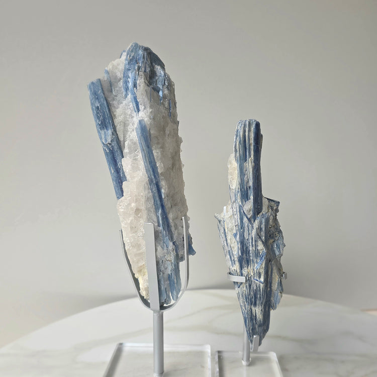 Blue Kyanite Crystal in Quartz on Stand