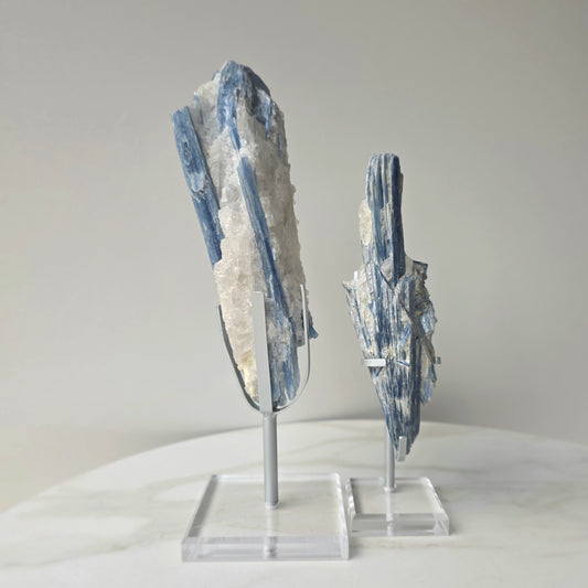 Blue Kyanite Crystal in Quartz on Stand