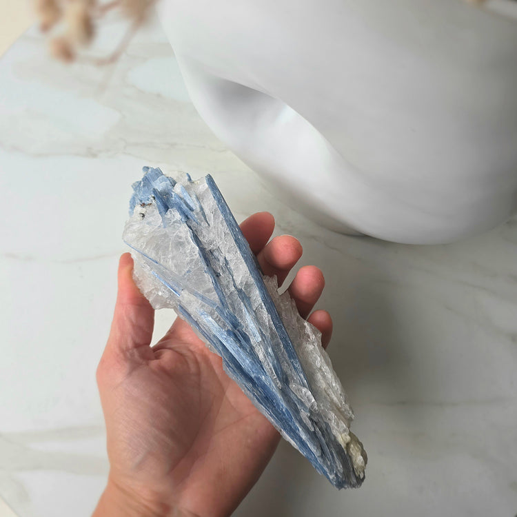 Blue Kyanite Crystal in Quartz on Stand