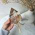 Natural Citrine Crystal with Rainbow AAA High Quality Brazil Collectors Piece - Crystals and Me | Crystal Candles and Ethically Sourced Crystals