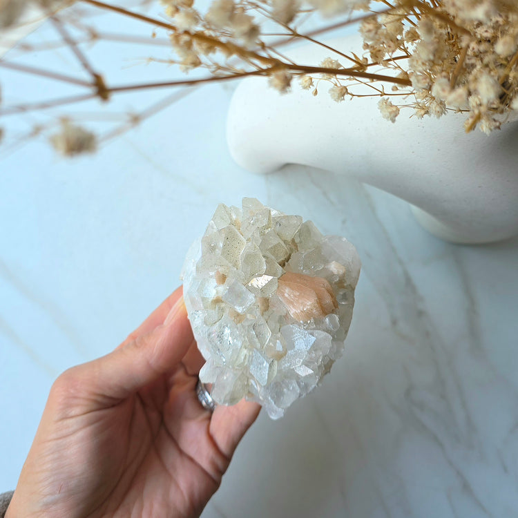 Rare Diamond Apophyllite Crystal Cluster High Quality India