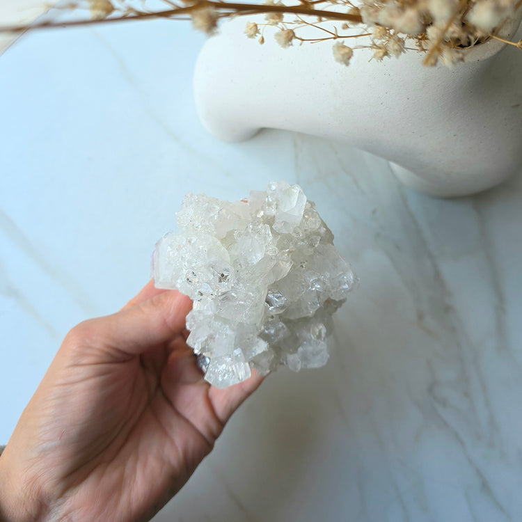 Rare Diamond Apophyllite Crystal Cluster High Quality India