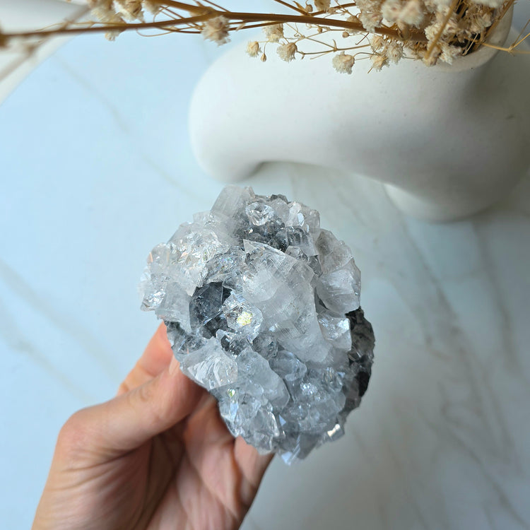 Rare Diamond Apophyllite Crystal Cluster High Quality India