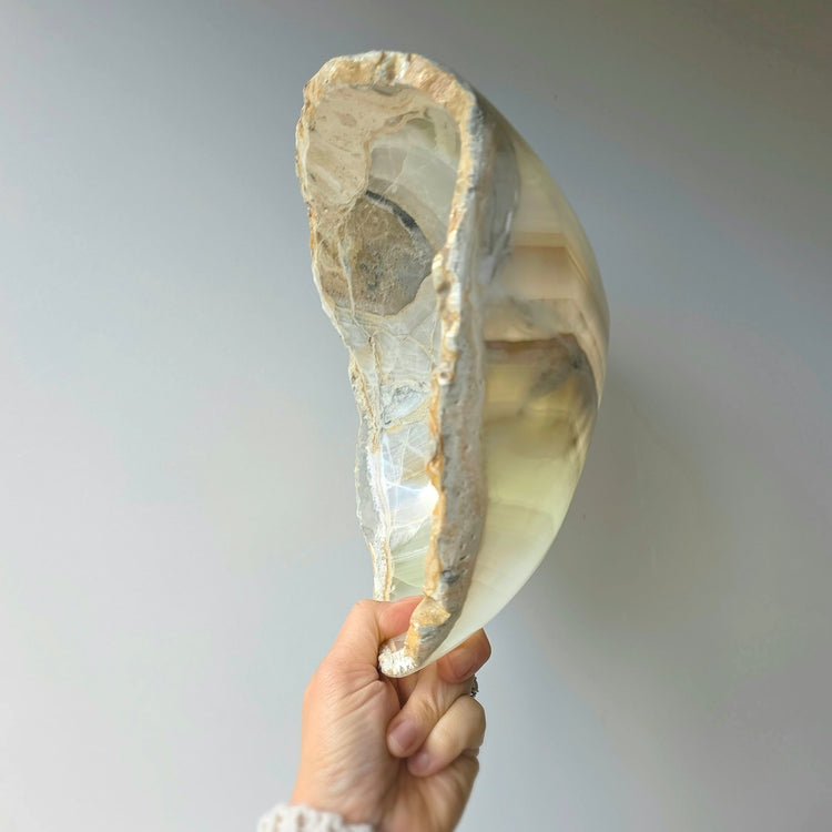 Calcite Crystal Decor Bowl Polished High Quality Mexico L