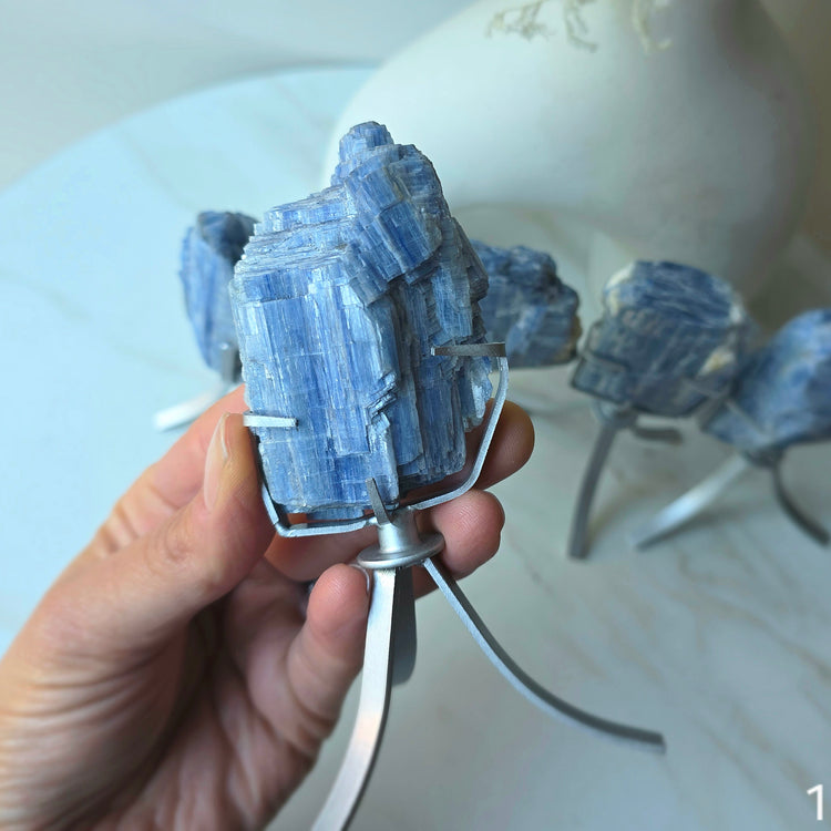 Blue Kyanite Crystal Cluster High Quality Brazil Small