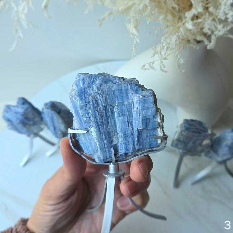 Blue Kyanite Crystal Cluster High Quality Brazil Small