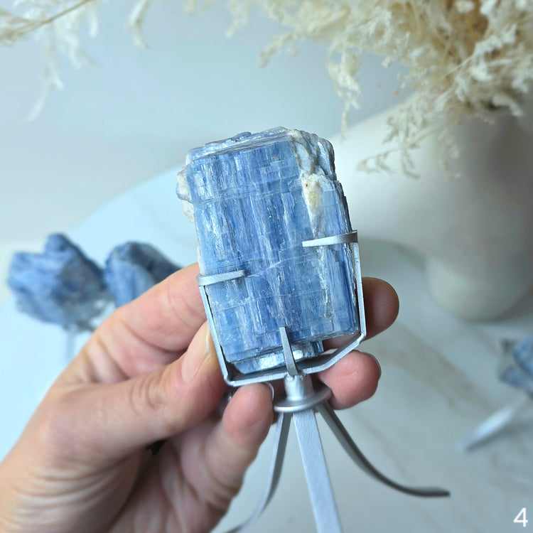Blue Kyanite Crystal Cluster High Quality Brazil Small