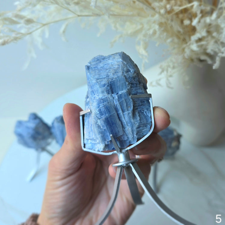 Blue Kyanite Crystal Cluster High Quality Brazil Small