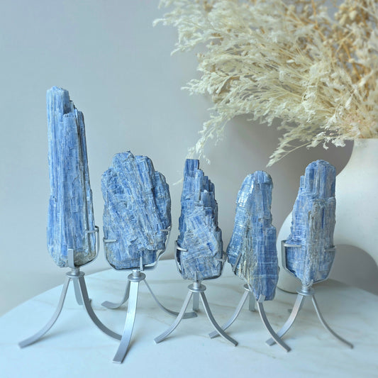 Blue Kyanite Crystal Cluster High Quality Brazil Large