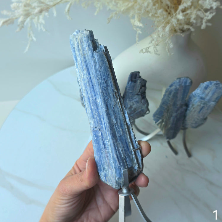 Blue Kyanite Crystal Cluster High Quality Brazil Large