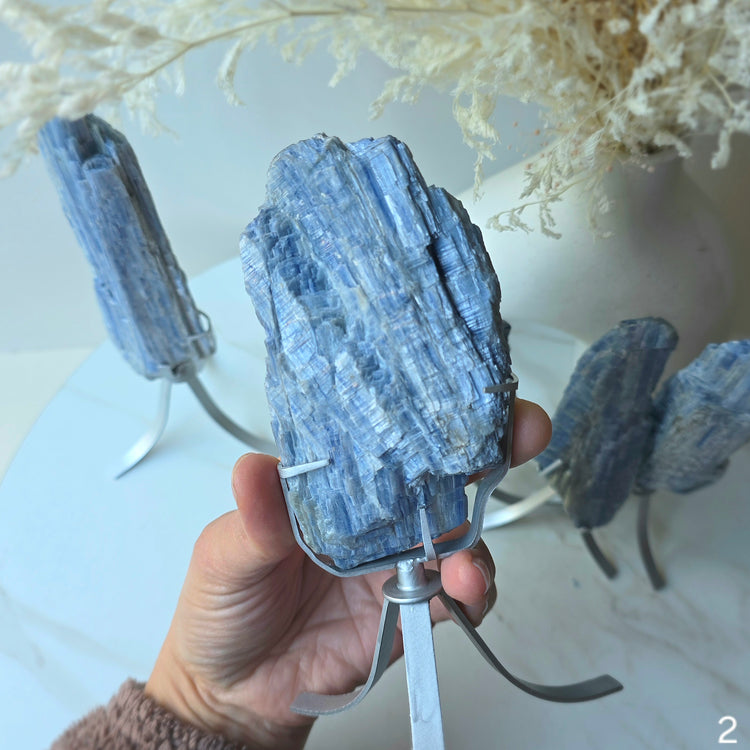 Blue Kyanite Crystal Cluster High Quality Brazil Large
