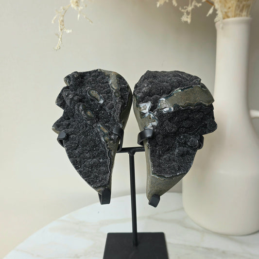 Rare Black Galaxy Amethyst Angel Wings Cluster on Stand