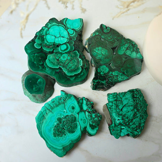 Malachite Crystal Polished Slab Slice Congo High Quality on Stand