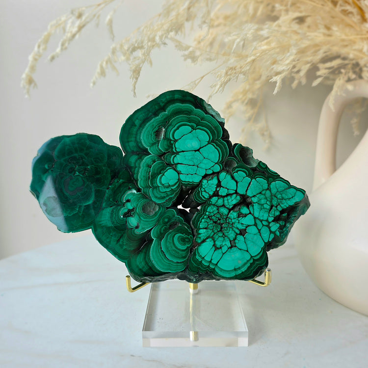Malachite Crystal Polished Slab Slice Congo High Quality on Stand