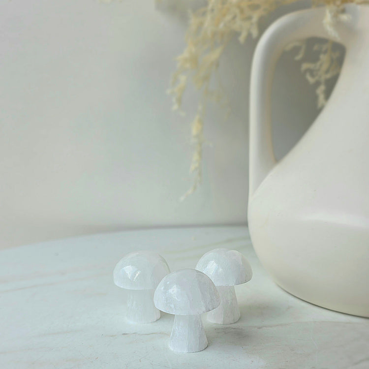 Selenite Crystal Mini Mushroom