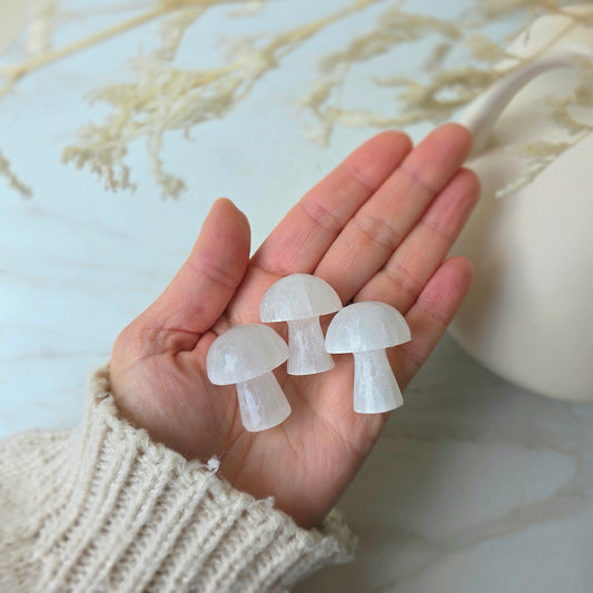 Selenite Crystal Mini Mushroom