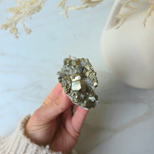 Pyrite Crystal Cube Cluster in Quartz