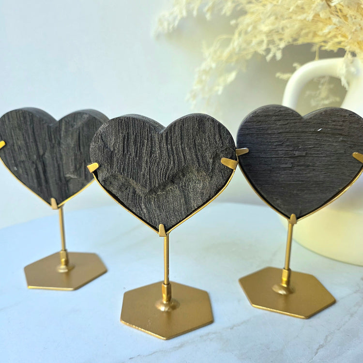 Black Permineralised Petrified Wood Indonesia