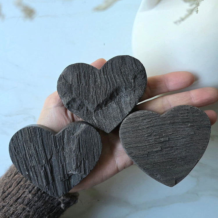 Black Permineralised Petrified Wood Indonesia