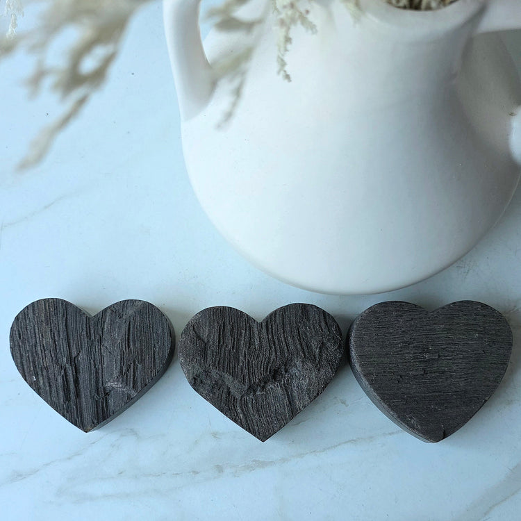 Black Permineralised Petrified Wood Indonesia