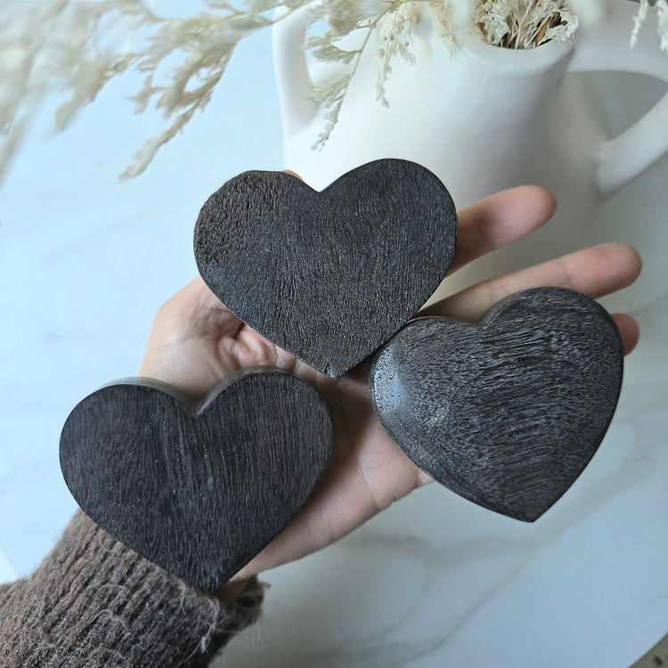 Black Permineralised Petrified Wood Indonesia