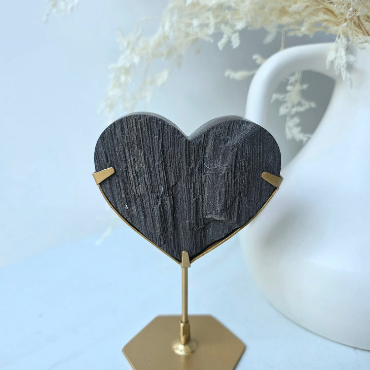 Black Permineralised Petrified Wood Indonesia